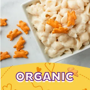 Annie's Organic Cheddar Bunnies Baked Snack Crackers 11.25 oz - ORGANIC