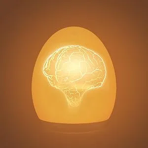 Synighty children baby still light Dimmable with 8 color change 1h timer memory function mountaineering hooks type C charging connection Silicone LED bedside lamp egg to breastfeed (white) a white - product information 21
