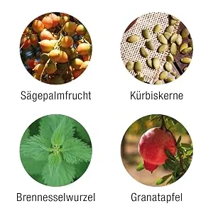 Prostavent Plus Prostate capsules plant complex of pumpkin seed saw palmetto nettle and pomegranate 60 pieces - prostavent-plus prostata-kapseln natürliche-prostata-tabletten kürbiskern granatapfel-kapseln