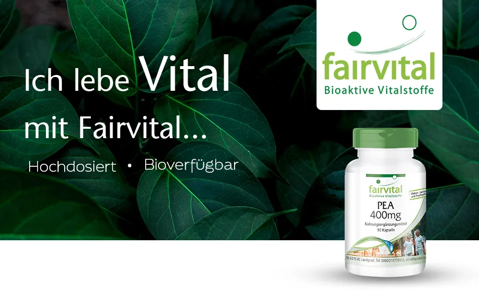 Fairvital |PEA 400mg - Palmitoylethanolamide - for 3 months - quality -checked and safely dosed - 100% vegan - made in Germany - 90 capsules - PEA 400mg