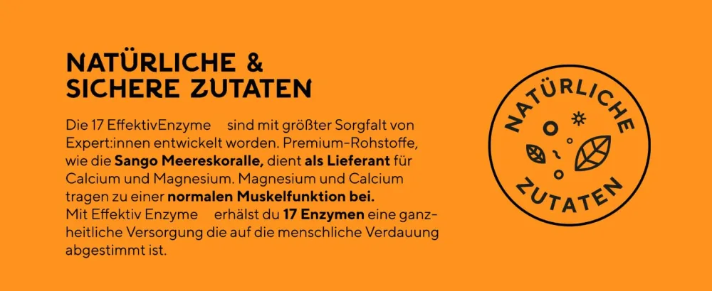 fairment EffektivEnzyme - Premium enzyme complex with bromelain sango sea coral lactase papain | Enzymes vegan | (1x 90 capsules) - Verdauungsenzyme Komplex mit Bromelain