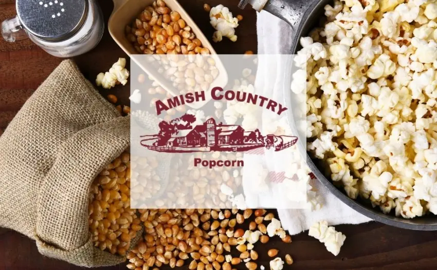 Amish Country Popcorn  Old Fashioned Microwave Popcorn  Old Fashioned with Recipe Guide (White & Red Corn on the Cob 2 Pack) - Amish Country Popcorn Old Fashioned Delicious Microwave Popcorn Kernels Toppings Seasoning