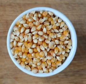 Anthony's Organic Yellow Popcorn Kernels 3 lb UnPopped Gluten Free Non GMO - product information 3