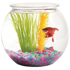 Koller Products Panaview 1-Gallon Globe Fish Bowl (BL10RFFP) - home decor decoration