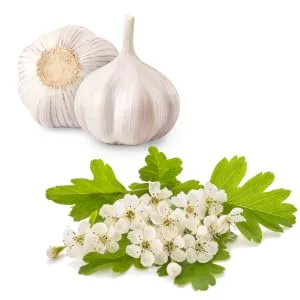 GARLIC + HAWTHORN CAPSULES with VITAMIN C Primedical 1 x 60 capsules - Knoblauch Weissdorn