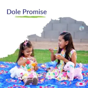 Dole Fruit Bowls Cherry Mixed Fruit No Sugar Added Gluten Free Healthy Snack 4 Oz 24 Total Cups - product information 5