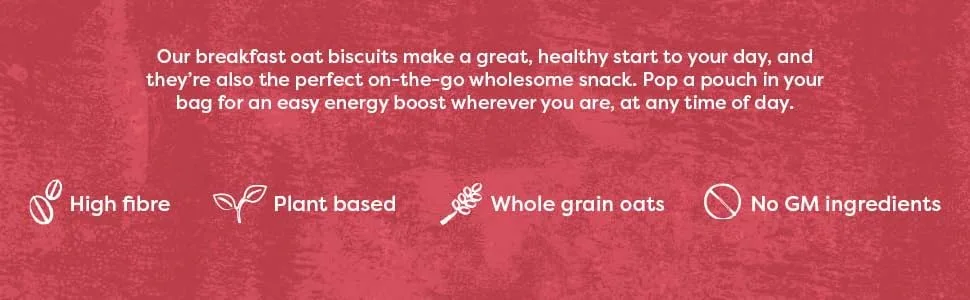 Nairn's Gluten Free Apple & Cinnamon Breakfast Biscuits 5.64oz - breakfast 3