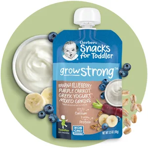 Gerber Assorted Fruit Toddler Pouch Variety Pack (Pack of 18) - 2nd Foods and Toddler Puree Pouch
