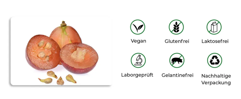 OPC grape seed extract drops | 50 ml | Highly concentrated from French grapes | Vegan & alcohol-free | from Germany - OPC-Traubenkernextrakt-Vegan.jpg