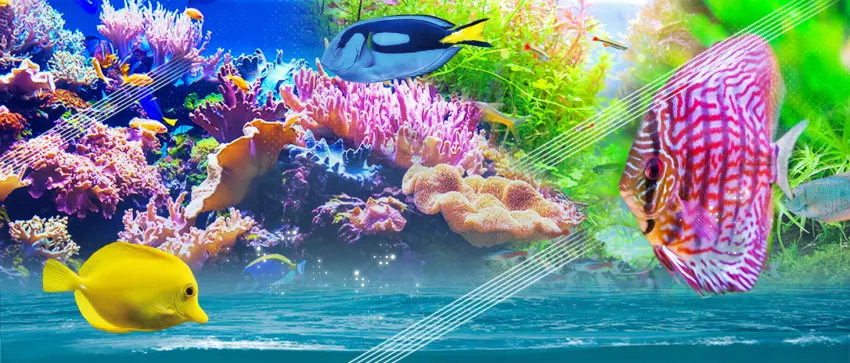Aquarium Filter Pad - Premium True Dual Density Aquarium Filter Media Roll for Crystal Clear Water - banner