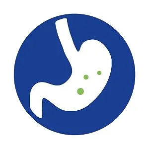 Florahit bacterial cultures 35 billion KBE - bifidobacterium & lactic acid bacteria - lactobacillus - survival stomach passage - intestinal bacteria also suitable for fructose -lactose -histamine intolerance - FloraHIT Flora Hit GutProducts Probiotikum magensaftresistent überleben Magen Magensäure Bakterien