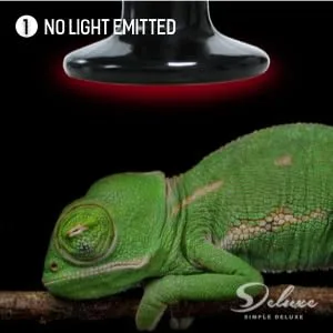 Simple Deluxe 150W Ceramic Heat Emitter Reptile Heat Lamp Bulb No Light Emitting Brooder Coop Heater for Amphibian Pet & Incubating Chicken 1 Pack/ 2 Pack with Thermometer Black & White - product information 3