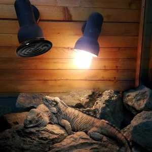 Simple Deluxe 150W Ceramic Heat Emitter Reptile Heat Lamp Bulb No Light Emitting Brooder Coop Heater for Amphibian Pet & Incubating Chicken 1 Pack/ 2 Pack with Thermometer Black & White - product information 6