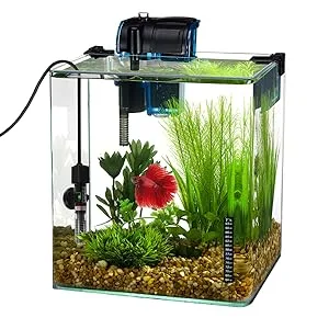 PULACO 25W Small Aquarium Betta Heater with Free Thermometer Strip Under 6 Gallon Fish Tanks - dwfw