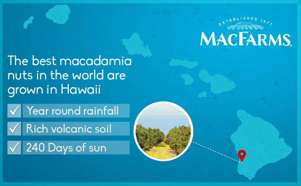 Macadamia Nuts  MacFarms Dry Roasted Macadamia Nuts (24 Ounce) - Premium Roasted Nuts with Sea Salt Fresh From Hawaii Sea Salt Flavored Healthy Snack - Panel 4