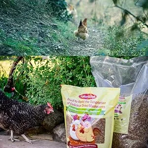 10lbs Bulk Non-GMO Dried Mealworms for Reptile  Tortoise ; Amphibian Lizard ;Wild Birds; Chichens; Duck etc - mealworms