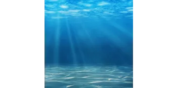 Aqueon Aquarium Water Conditioner Bottle - Aqueon