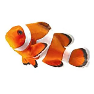API Tropical PELLETS Sinking Pellets Fish Food - product information 10