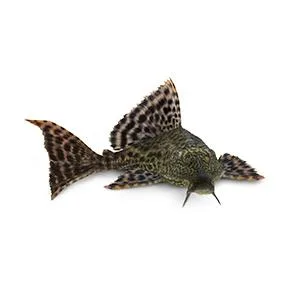 API Tropical PELLETS Sinking Pellets Fish Food - product information 6