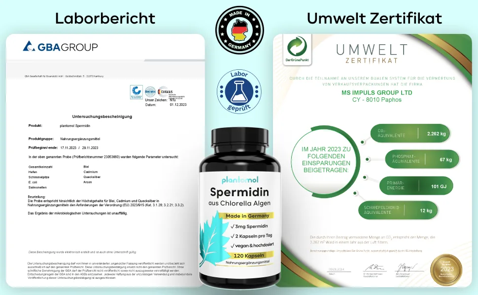 120 Spermidine capsules high -dosed from chlorella algae extract - high natural chlorophyll content + 3mg spermidine - high bioavailability - free of wheat germ extract and gluten - Autophagie-Kapseln mit hochdosiertem 3mg Spermidin Gehalt aus Chlorella Algen Extrakt 100% vegan