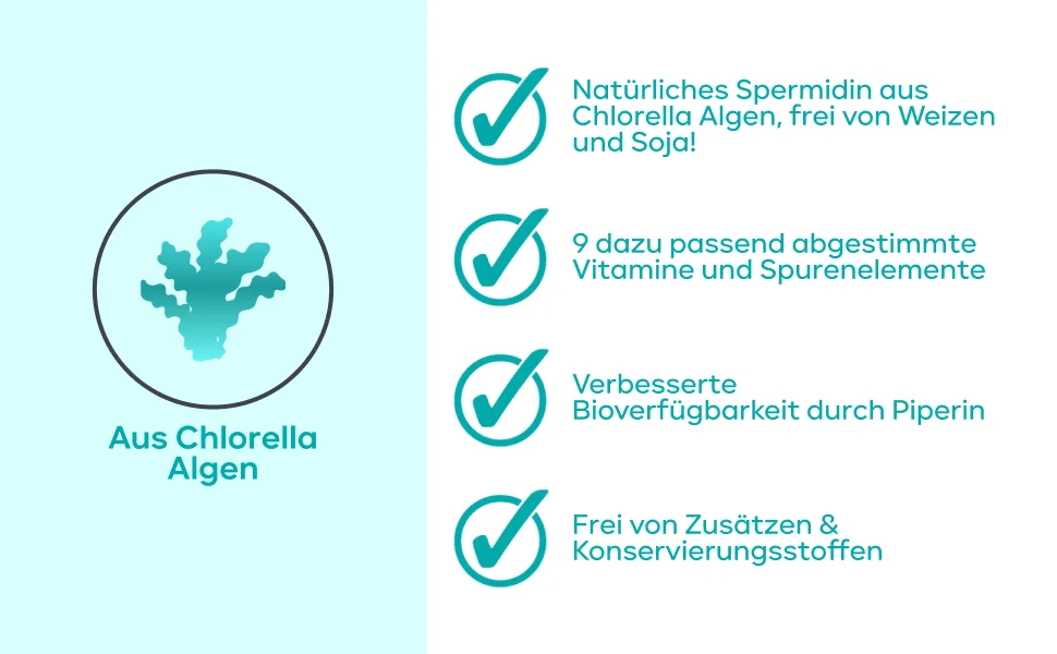 120 Spermidine capsules high -dosed from chlorella algae extract - high natural chlorophyll content + 3mg spermidine - high bioavailability - free of wheat germ extract and gluten - Spermidin Kapseln aus Chlorella Algen Extrakt ohne Weizenkeim-Extrakt mit Vitaminen und Mineralien