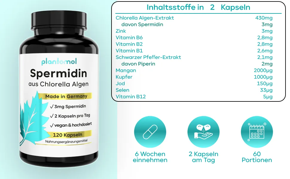 120 Spermidine capsules high -dosed from chlorella algae extract - high natural chlorophyll content + 3mg spermidine - high bioavailability - free of wheat germ extract and gluten - Spermidin Komplex Kapseln aus Chlorella Algen Extrakt mit Zink und Piperin aus schwarzem Pfeffer