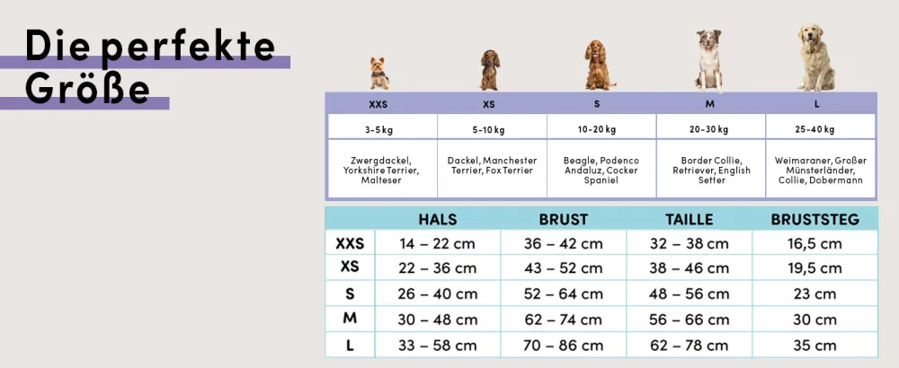 STUCH dog harness - adjustable nylon harness - padded - for small medium and large dogs color: beige size: L Beige L - Hundegeschirr Größentabelle