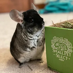 Small Pet Select 2nd Cutting Perfect Blend Timothy Hay Pet Food - Chinchilla