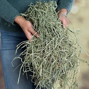 Small Pet Select 2nd Cutting Perfect Blend Timothy Hay Pet Food - Hand Selected Timothy Hay