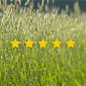 Small Pet Select 2nd Cutting Perfect Blend Timothy Hay Pet Food - Highest Rated