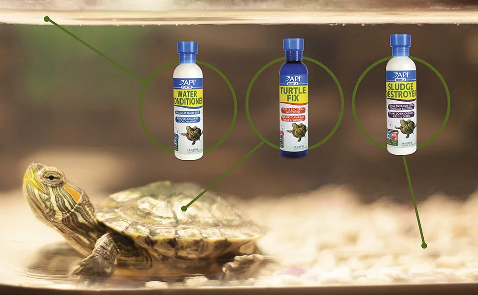 API Turtle Products: Sludge Remover to Clean Aquarium Water Conditioner to Make Tap Water Safe for Turtles TURTLEFIX Remedy to treat bacterial infections and repair damaged tissue - API turtle products water conditioner sludge destroyer turtle fix