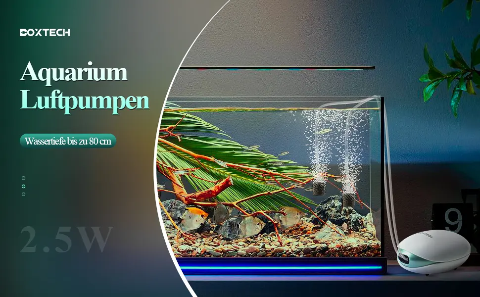 Boxtech aquarium air pump bladder stone check valve and control valve suit oxygen pump for 1-150 liters of aquarium double hole 2.5watts - ux5-1