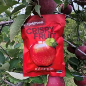 Crispy Green Freeze-Dried Fruit Single-Serve Apple 0.35 Ounce (Pack of 12) - Crispy Fruit Apple