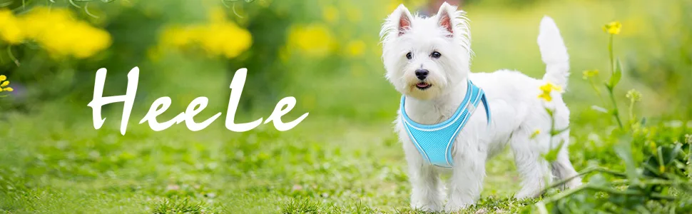 Heele dog harness adjustable anti train dishes reflective breathable dishes dogs light breast harness small dogs for walking training reflective sky blue m - product information 22