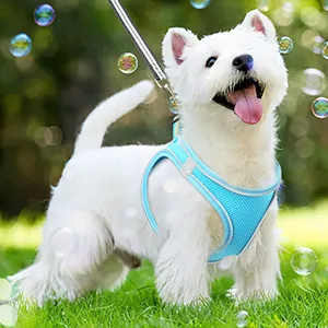 Heele dog harness adjustable anti train dishes reflective breathable dishes dogs light breast harness small dogs for walking training reflective sky blue m - product information 26