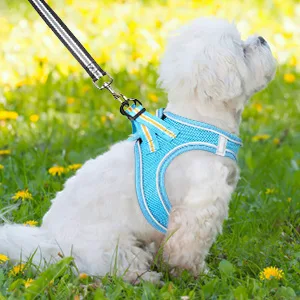 Heele dog harness adjustable anti train dishes reflective breathable dishes dogs light breast harness small dogs for walking training reflective sky blue m - product information 27