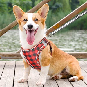 Heele dog harness adjustable anti train dishes reflective breathable dishes dogs light breast harness small dogs for walking training reflective plaid red m - product information 26