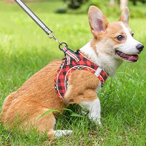 Heele dog harness adjustable anti train dishes reflective breathable dishes dogs light breast harness small dogs for walking training reflective plaid red m - product information 27