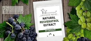 Forest vitamin - natural resveratrol extract - 60 capsules - (polygonum CUSPIDATUM Kn terich) - 100mg standardized on 98% resveratrol - health and beauty - transs