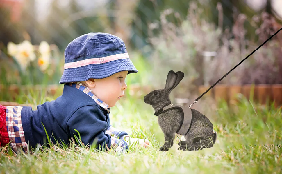 Niteangel Adjustable Soft Harness with Elastic Leash for Rabbits - product information 2