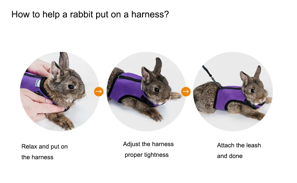 Niteangel Adjustable Soft Harness with Elastic Leash for Rabbits - product information 4