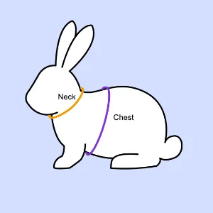 Niteangel Adjustable Soft Harness with Elastic Leash for Rabbits - product information 7