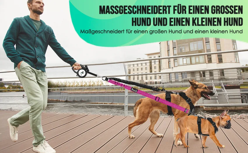 NASJAC Double dog linen coupler no involvement shared leash to walk 2 dogs adjustable reflective shock-damping safety-linen splinters 2-color version (for S+M) black+gray - product information 25