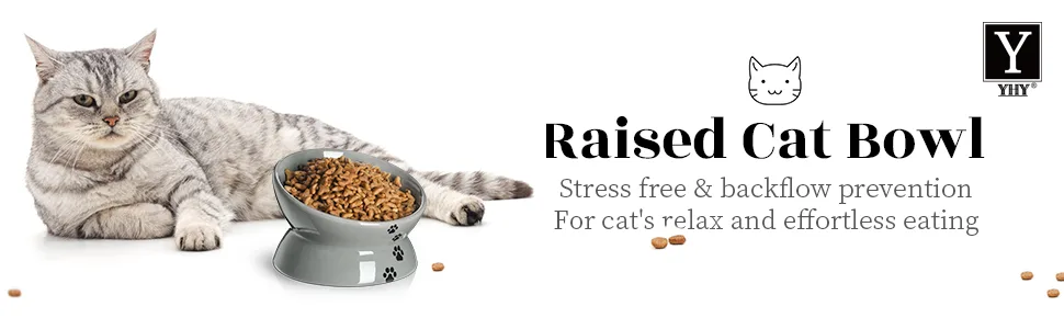 Y YHY Raised Cat Food Bowl Ceramic Elevated Cat Bowl Title Angle Protect Cat's Spine Anti Vomiting Cat Dish Backflow Prevention Grey - 5 Inches - cat bowls