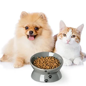 Y YHY Raised Cat Food Bowl Ceramic Elevated Cat Bowl Title Angle Protect Cat's Spine Anti Vomiting Cat Dish Backflow Prevention Grey - 5 Inches - raised cat bowls