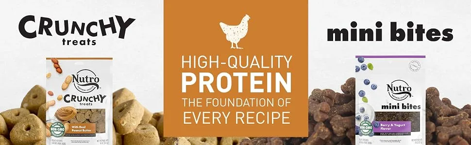 Nutro Crunchy Natural Biscuit Dog Treats - treat