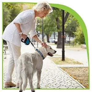 Nutramax Laboratories Dasuquin with MSM Soft Chews - Older woman is pausing a walk to pet her larger, older dog