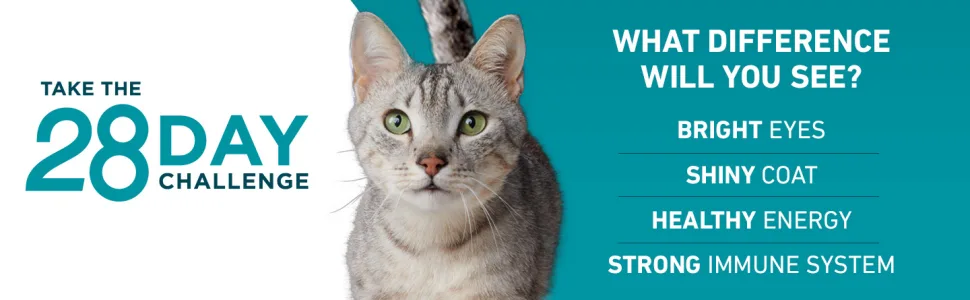 Purina ONE Tender Selects Blend Adult Dry Cat Food - image