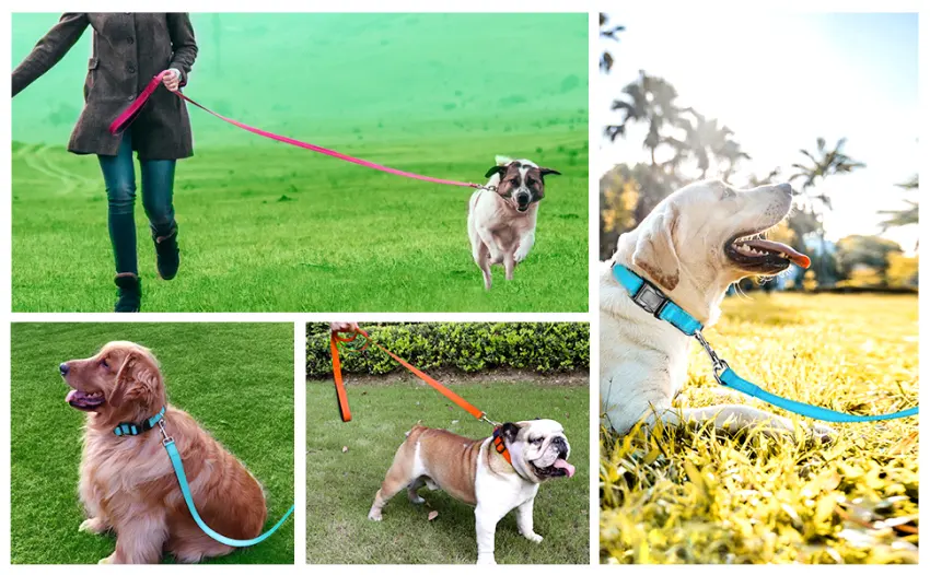 Joytale Reflective Dog Collar12 ColorsSoft Neoprene Padded Breathable Nylon Pet Collar Adjustable for Small Medium Large Extra Large Dogs5 Sizes - product information 11