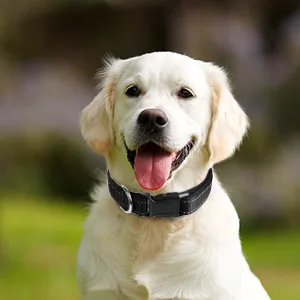 Joytale Reflective Dog Collar12 ColorsSoft Neoprene Padded Breathable Nylon Pet Collar Adjustable for Small Medium Large Extra Large Dogs5 Sizes - pet dog collar